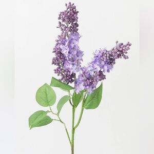 Meet your Posher, Jess.